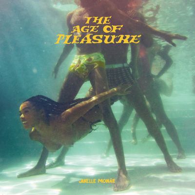 The Age of Pleasure album cover